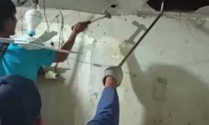 Giant Snake Falls Through Ceiling Towards Firefighters