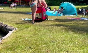 Cooper the Tasmanian Devil Dog