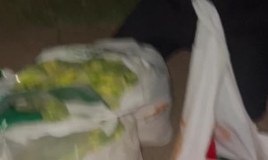 Surprising Grocery Haul From Qdoba Kitchen