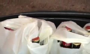 Grocery Basket Turns Over Breaking 40 Beers