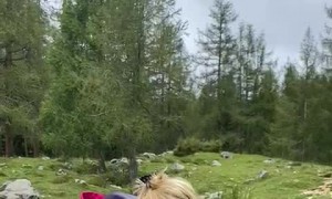 Marmot Eats Carrot From Hiker's Hand