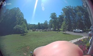 We Need More Frosted Flakes