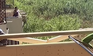 Women Does Her Best to Stop Fire