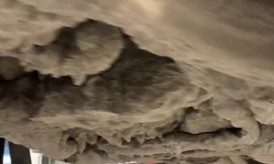 Steel Mill Truck Coated With Layers of Sediment