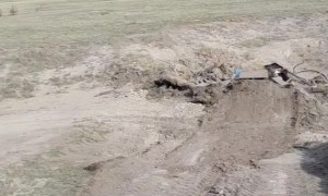 Little Tyke Goes on Long Trek for Tractor Ride