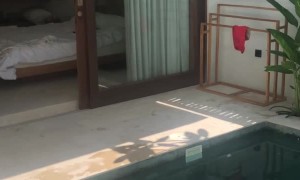 Stray Cat Makes Itself at Home