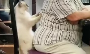 Cat Gives Grandmother a Massage