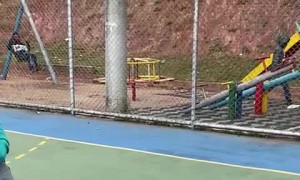 Mesmerizing Stack of Basketballs Roll Together
