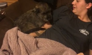 Dog Gives Cold Shoulder to Owner Returning From Vacation