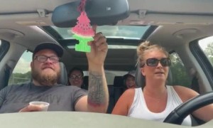 Hungry Ostrich Scares Passenger at Animal Park