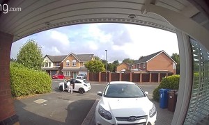 Girl Faceplants into Parked Car