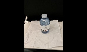 POV: Flying As a Vegan and Ordering Meals in Advance