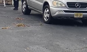 Firefighters Save Dog From House Fire