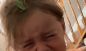Girl Cries When She Sees Grasshopper on Her Head