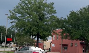 Guy Rides on Car Hood