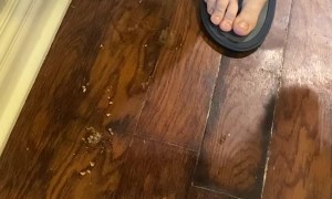 New Dishwasher Floods Floors