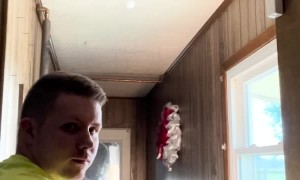 Catching and Releasing a Bat in the Farm House