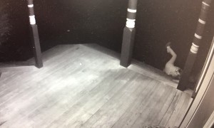 Icy Stairs Bruise Pride and Wreck Cabbage Rolls