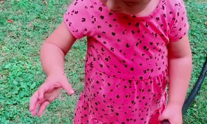 Little Girl Snacks on Ant