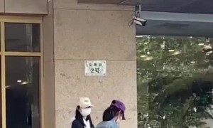 Taking a Robot Dog for a Walk