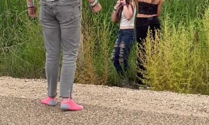 The Forbidden 'Wild' Corn Dogs