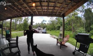 A Frog Jump Scares A Woman