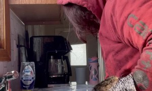 Cat Creates Chaos in the Bath