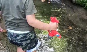 Little Boy Falls in Pond