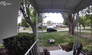 Sneaky Spider Web Scares A Man