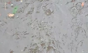 Heavy Rain in Skopje