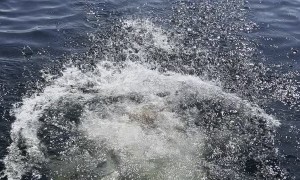 Life Jacket Diaper Trick for Drinks in the Lake