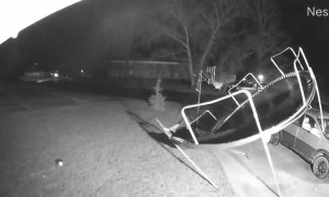 Wind-Swept Trampoline Trashes a Car