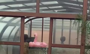 Hail Damages Covered Pool