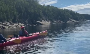 Baby Seal Visits Kayakers
