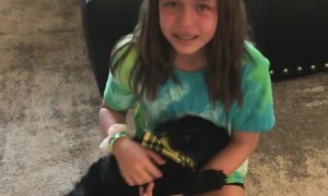 Daughter Overcome With Emotion at Puppy Surprise