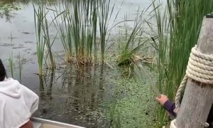 Canoe Puts Crew into Kawartha Lakes