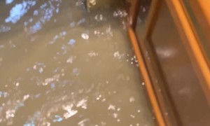 Damp Elevator Disaster in Ireland