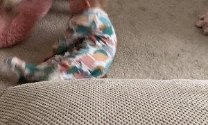 Baby Doing a Funky Move Falls on Squeaky Toy