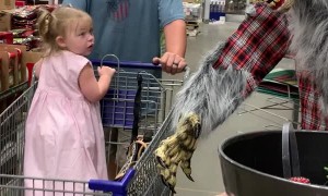 Little Girl Gets Freaked Out by Animatronic Werewolf