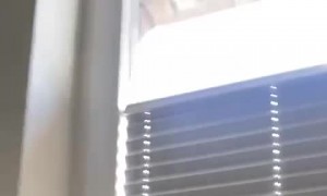 When the Head Bonk Sounds Hollow