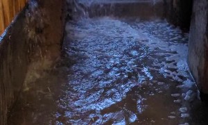 Heavy Rains Flood Chicago Apartment