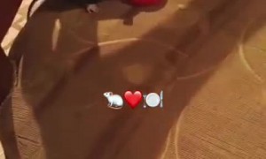 Mouse Has a Seat at the Dinner Table