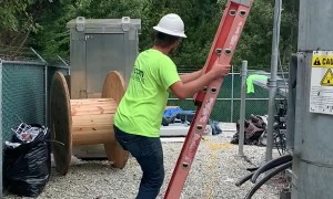 Spotted Lanternflies Are Out of Control