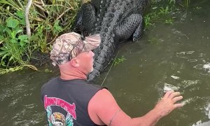 Man Jumps Out of Boat to Help Distressed Gator onto Land