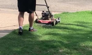 Neighbor's Gone Wild Mowing Edition
