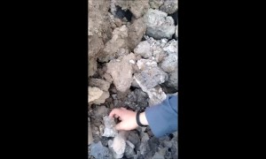 Man Rescues and Cares For Kittens