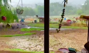 There’s a Rainbow in My Yard!