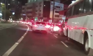 A Horse is a Horse on a Bus Of Course