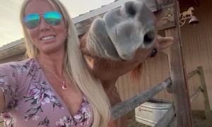 Happy Horse Smiles for the Camera