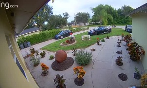 Forgetting to Put the Car Into Park